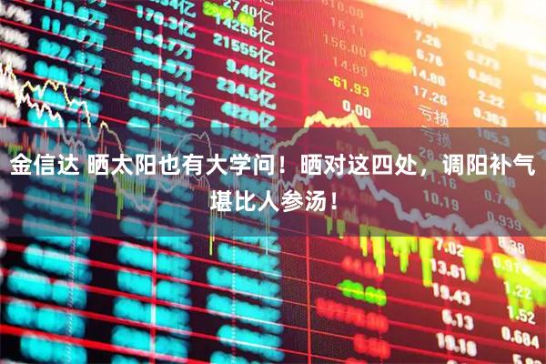 金信达 晒太阳也有大学问！晒对这四处，调阳补气堪比人参汤！