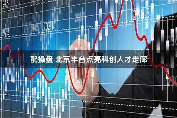 配操盘 北京丰台点亮科创人才走廊