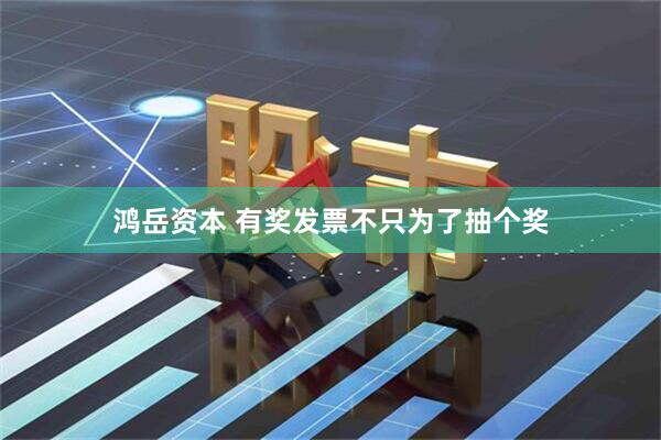鸿岳资本 有奖发票不只为了抽个奖