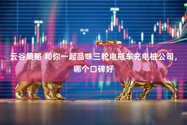 云谷策略 和你一起品味三轮电瓶车充电桩公司，哪个口碑好