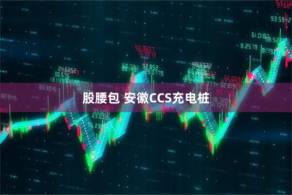 股腰包 安徽CCS充电桩