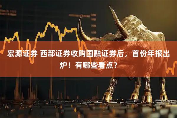 宏源证券 西部证券收购国融证券后，首份年报出炉！有哪些看点？