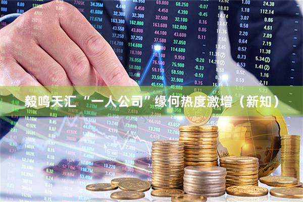 毅鸣天汇 “一人公司”缘何热度激增（新知）