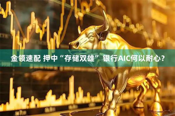 金领速配 押中“存储双雄” 银行AIC何以耐心？