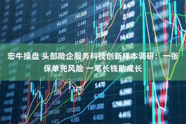 宏牛操盘 头部险企服务科技创新样本调研：一张保单兜风险 一笔长钱助成长
