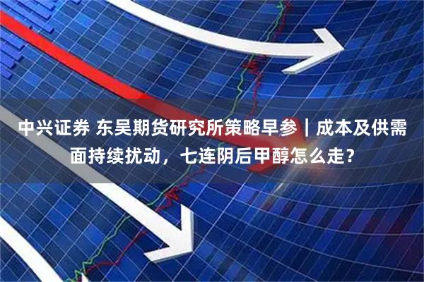 中兴证券 东吴期货研究所策略早参｜成本及供需面持续扰动，七连阴后甲醇怎么走？