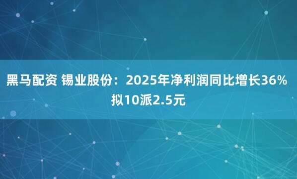 黑马配资 锡业股份：2025年净利润同比增长36% 拟10派2.5元