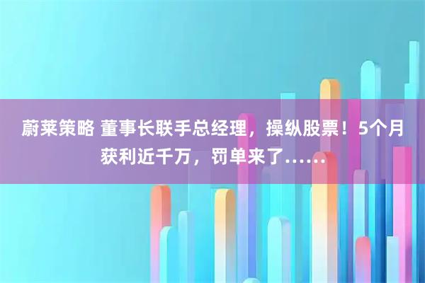 蔚莱策略 董事长联手总经理,操纵股票!5个月获利近千万,罚单来了……