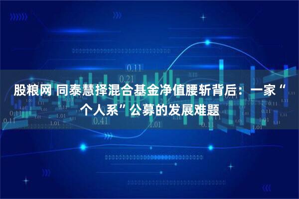 股粮网 同泰慧择混合基金净值腰斩背后：一家“个人系”公募的发展难题