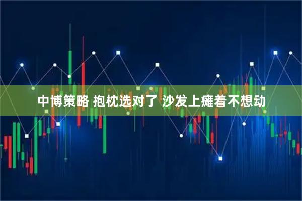 中博策略 抱枕选对了 沙发上瘫着不想动