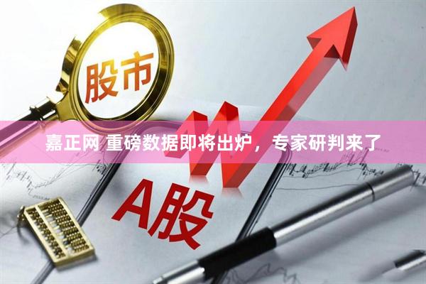 嘉正网 重磅数据即将出炉，专家研判来了