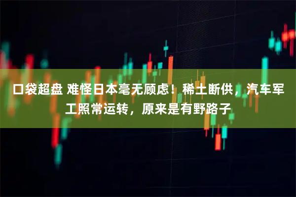 口袋超盘 难怪日本毫无顾虑！稀土断供，汽车军工照常运转，原来是有野路子