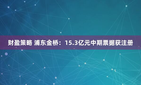 财盈策略 浦东金桥：15.3亿元中期票据获注册
