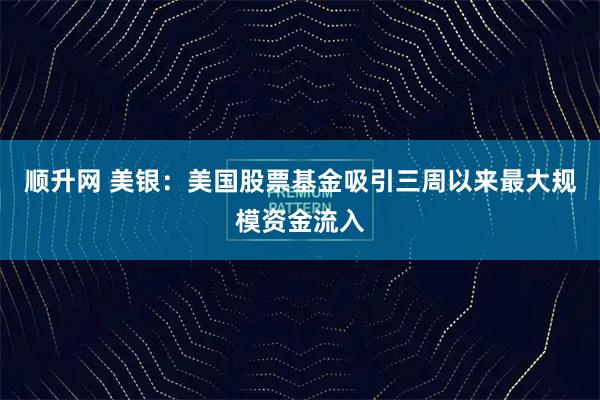 顺升网 美银：美国股票基金吸引三周以来最大规模资金流入