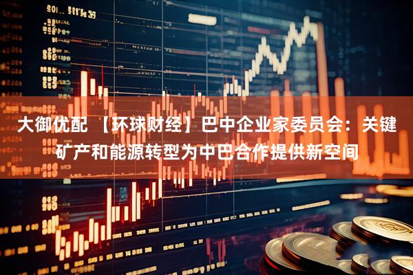 大御优配 【环球财经】巴中企业家委员会：关键矿产和能源转型为中巴合作提供新空间