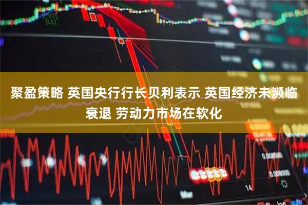 聚盈策略 英国央行行长贝利表示 英国经济未濒临衰退 劳动力市场在软化